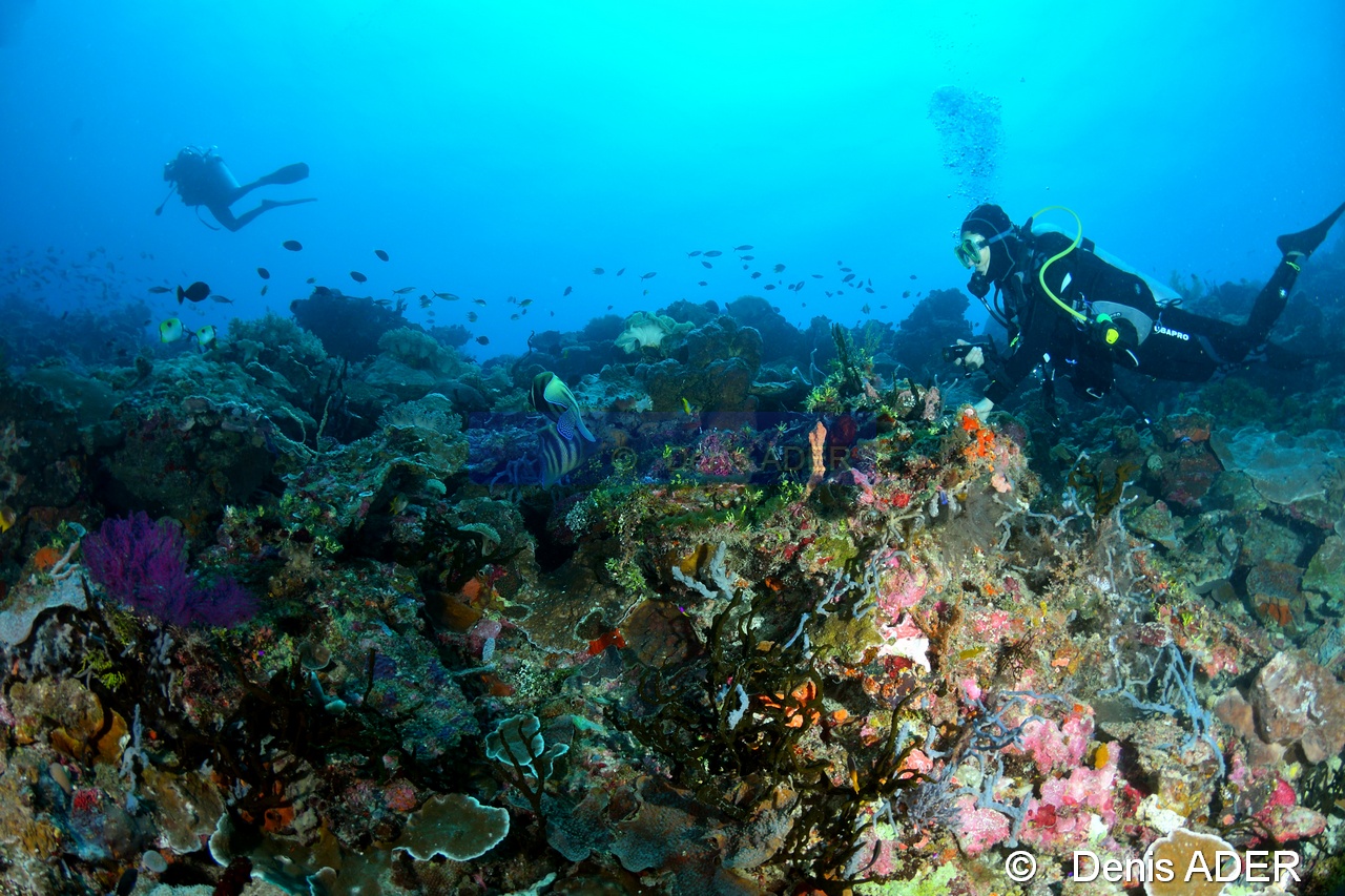 Ambiance Catherine-Tomia Creinung waha-26m-20180526-Denis-ADER-DSC_0821_tn.jpg